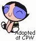 animation7.gif