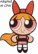 animation9.gif
