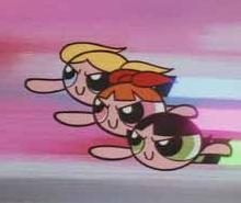 coolgroup_ppg.jpg