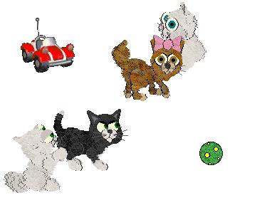 petz00179.jpg