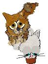 petz0106.jpg