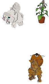 petz0114.jpg