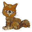 petz04.jpg