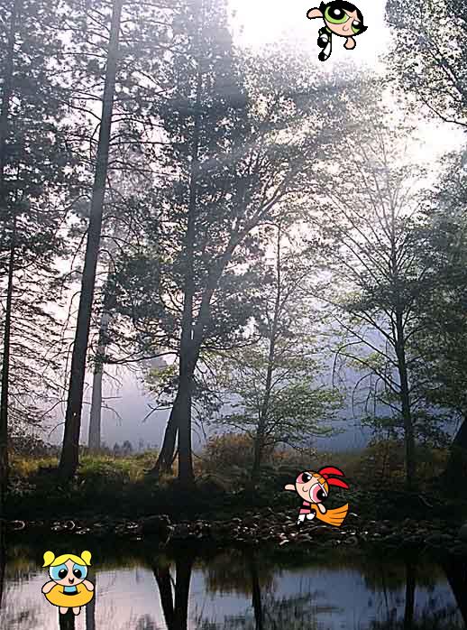 vacationpic11.jpg