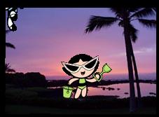 vacationpic12.jpg